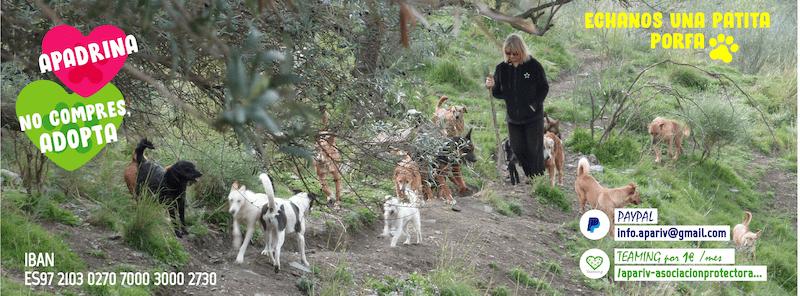 Banner de El Rincón de Peco